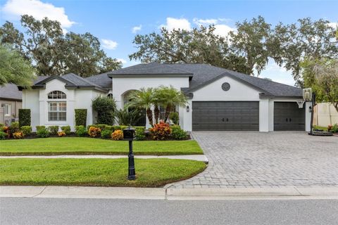 16715 EAGLE OAK DRIVE ODESSA FL 33556