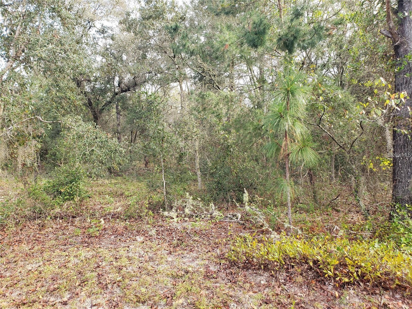 RAINBOW LAKES ESTATE - Land