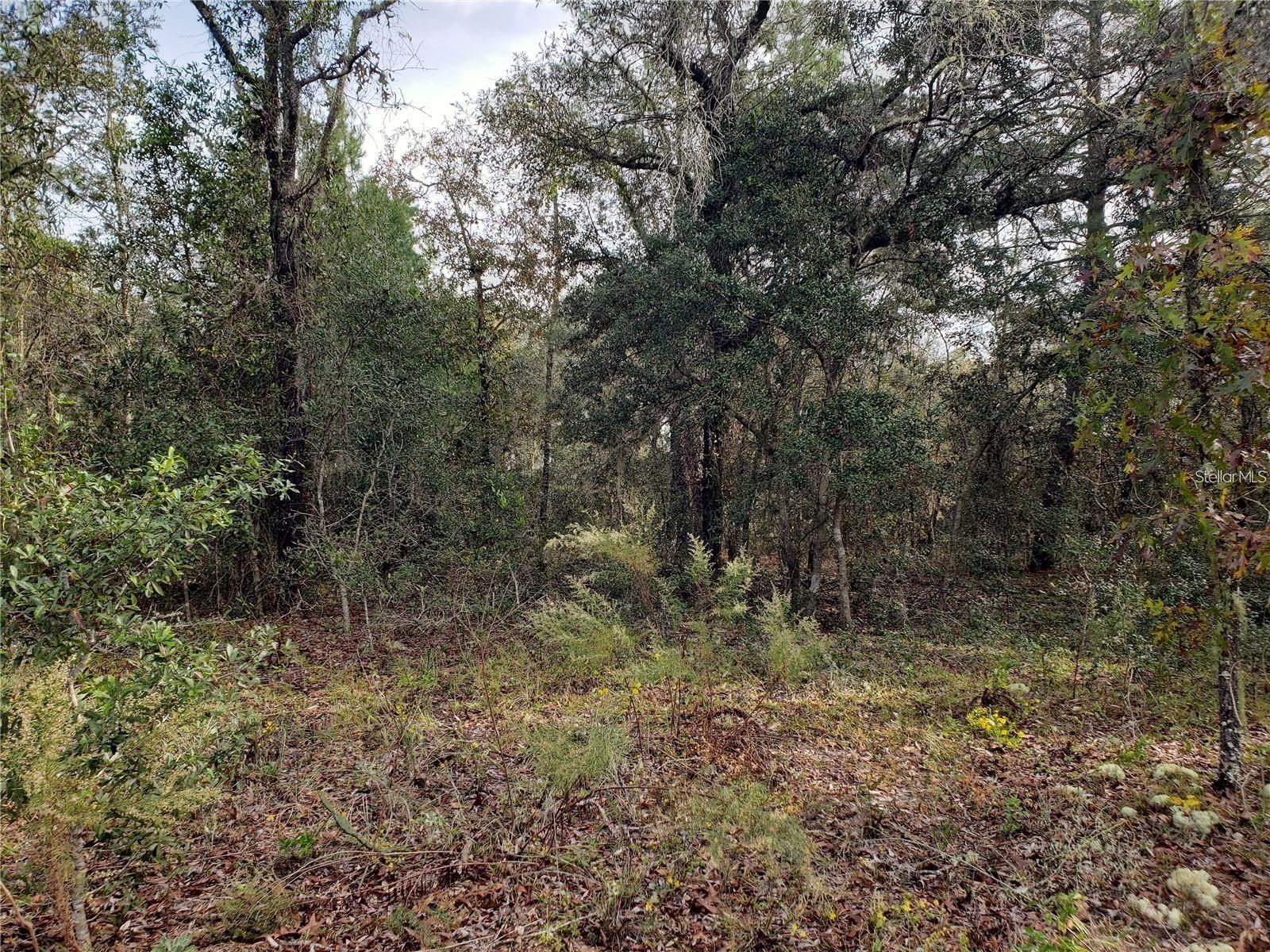 RAINBOW LAKES ESTATE - Land