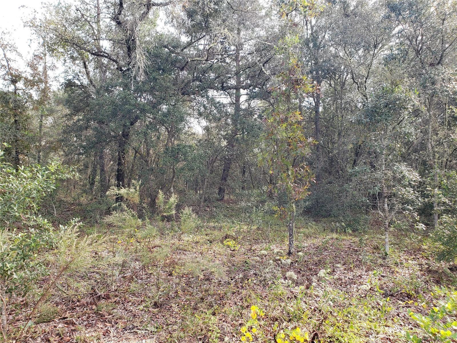 RAINBOW LAKES ESTATE - Land