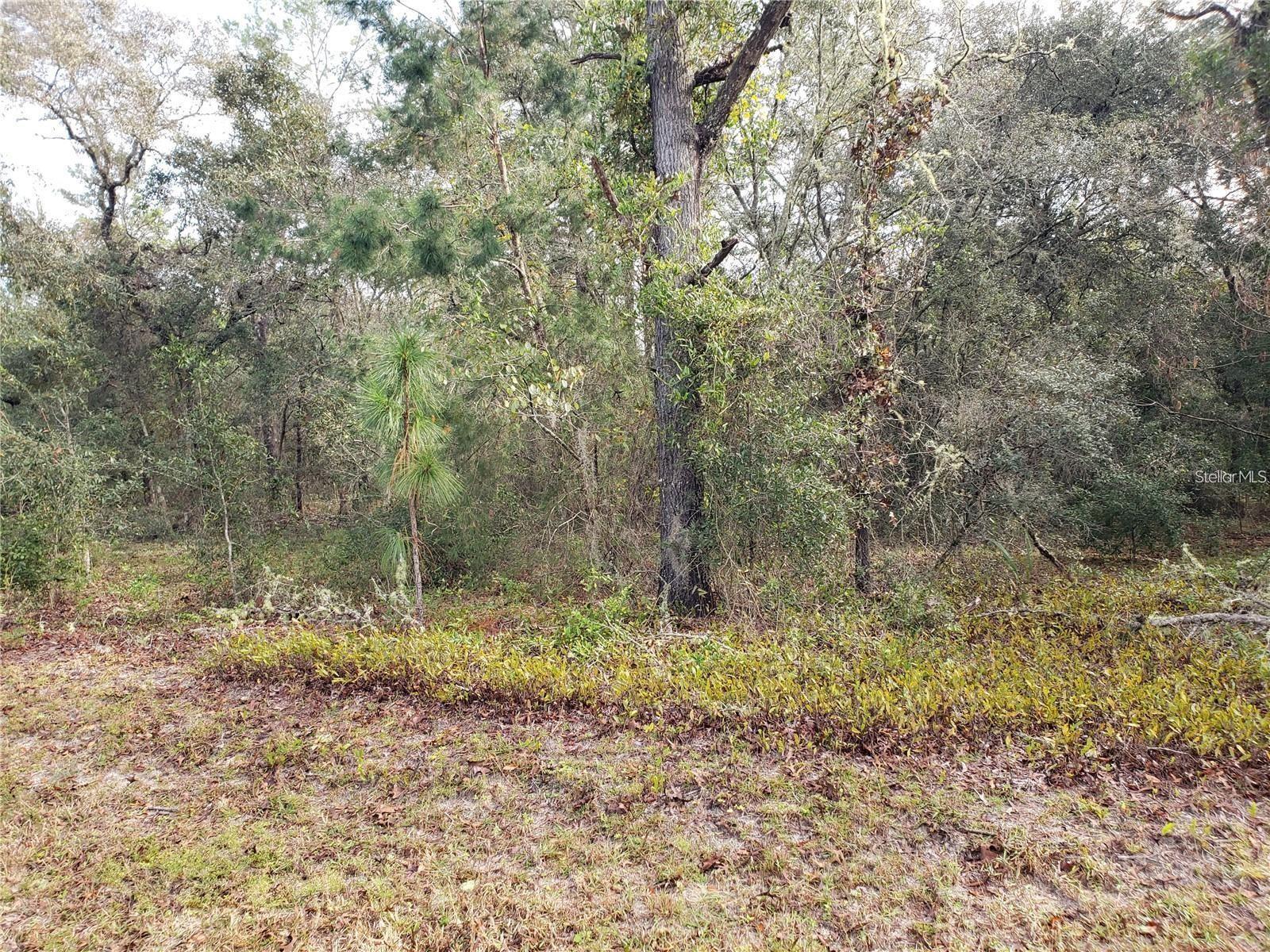 RAINBOW LAKES ESTATE - Land