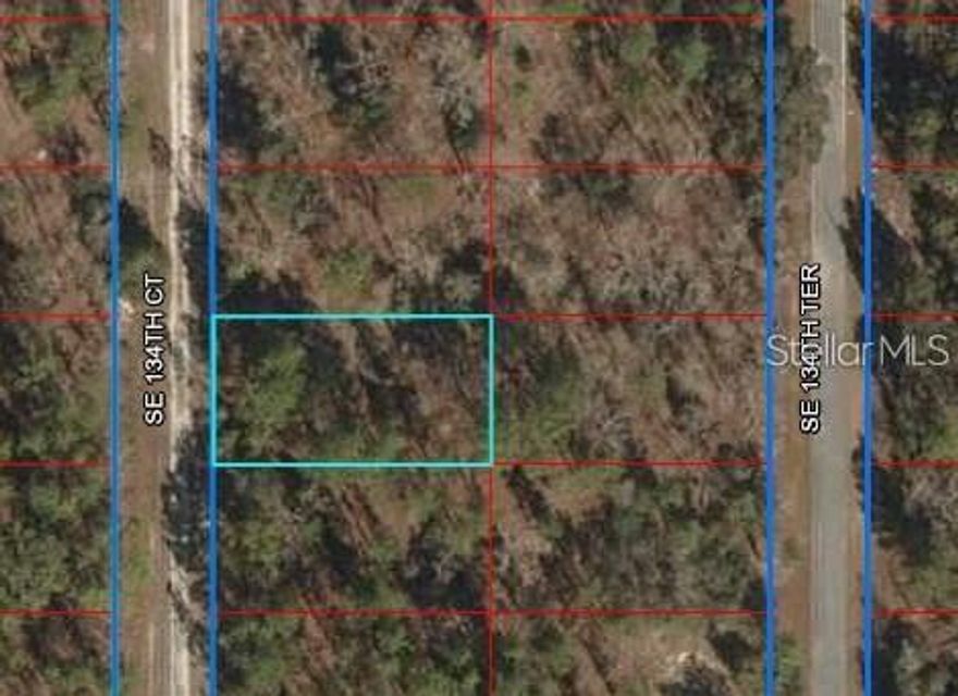 (1) of (3) CONNECTED Lots for Sale and available by the same seller in Rainbow Lakes Estates. AFFORDABLE, 0.25 ACRE, PRIVATE, HIGH AND DRY, BUILDING LOT, with PAVED ROAD Great Trees you can work with and FLAT READY TO BUILD ON. Zoned for Site Built Homes ONLY, NO MOBILE HOMES!  Build your DREAM HOME or buy and hold as an investment with LOW TAXES. Near major roads for easy commuting to work, shopping, restaurants, and schools. NO HOA, and very few neighbors, but still close to services and many lakes. Buy this land, buy all the lots and/or purchase an available land/home package and START BUILDING TODAY! Lot GPS Coordinates:  29.17612688, -82.54500856