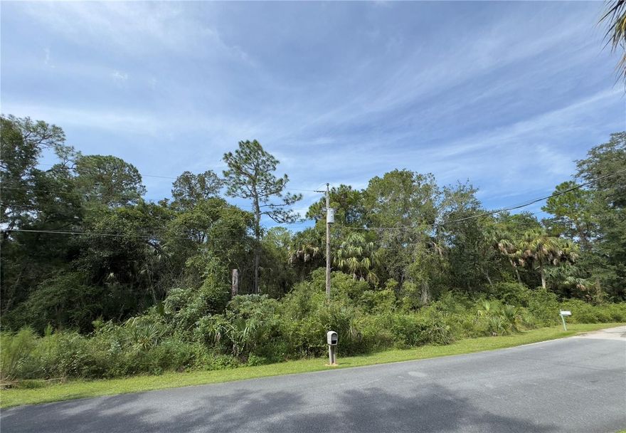 Just Over 1 Acre in Crystal River, FL - Two Parcels, One Incredible Opportunity! Discover your chance to own just over 1 acre of vacant land in the heart of Crystal River, Florida! This rare find combines two parcels being sold together, giving you endless possibilities. Whether you’re looking to build your dream home, create a weekend retreat, or invest in one of Florida’s most charming coastal towns. Crystal River is known as the “Gem of the Nature Coast” a place where natural beauty meets endless adventure. Imagine living just minutes from: Three Sisters Springs - world-famous for its crystal-clear waters and manatee encounters, Crystal River Preserve State Park - 27,500 acres of hiking, fishing, and wildlife exploration, Hunter Springs Park & Beach - the perfect spot for swimming and kayaking, Fresh seafood restaurants, quaint local shops, and vibrant community events. With just over an acre of land at your disposal, you’ll have the space to spread out, build big, or simply hold as an appreciating investment. Here’s the best part, this property is priced just under market value, making it a smart buy in a market where land this size rarely lasts long. Don’t miss your chance to claim your slice of paradise in Crystal River. Opportunities like this don’t come around often and when they do, they don’t last!<br>
<br>Vacant land rarely has an address or lot number posted. There have been occasions when a buyer has closed on a property and determined, after the closing, that the property conveyed to the buyer was not the property the buyer had visually identified prior to signing the contract. It is the buyer’s responsibility to confirm the legal description of the property the buyer wants to purchase prior to the end of the contract Property Inspection Period. The best way to accomplish this is for the buyer to obtain a survey that depicts a physical immovable object on the property or adjacent to the property that irrefutably confirms the property identified in the survey is the property the buyer wants to purchase.