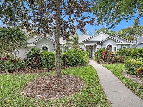 15207 KESTRELRISE DRIVE LITHIA FL 33547