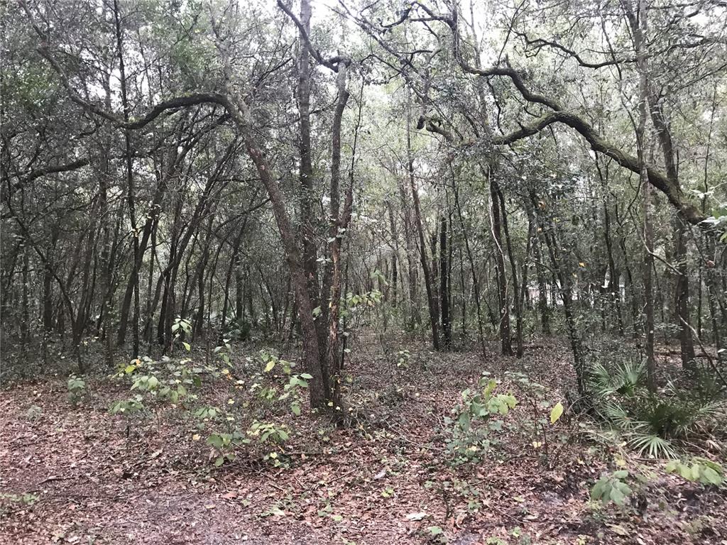 BELL ACRES UNIT 1 - Land