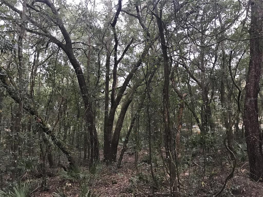 BELL ACRES UNIT 1 - Land