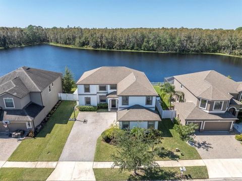 12135 CRESTRIDGE LOOP TRINITY FL 34655