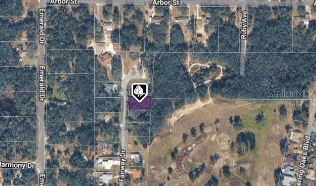 Photo of 6176 Fairway Drive, Ridge Manor, FL 33523 (MLS # TB8465685)