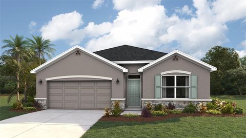 Photo of 8822 Bahama Mia Lane, Parrish, FL 34219 (MLS # A4676363)