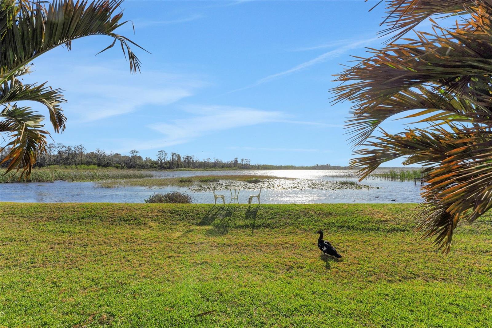 410 ORANGE BLOSSOM DRIVE