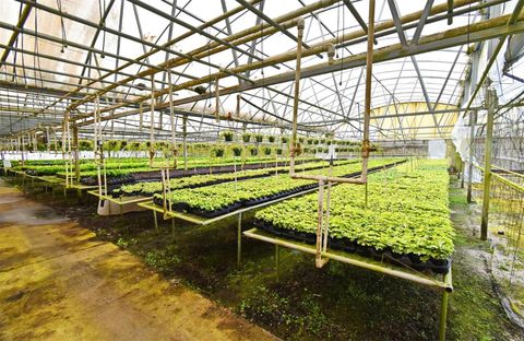 Tiny photo for 20900 State Road 44, Eustis, FL 32736 (MLS # O6300356)