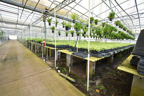 Tiny photo for 20900 State Road 44, Eustis, FL 32736 (MLS # O6300356)