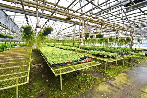 Tiny photo for 20900 State Road 44, Eustis, FL 32736 (MLS # O6300356)