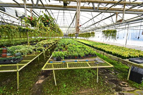 Tiny photo for 20900 State Road 44, Eustis, FL 32736 (MLS # O6300356)