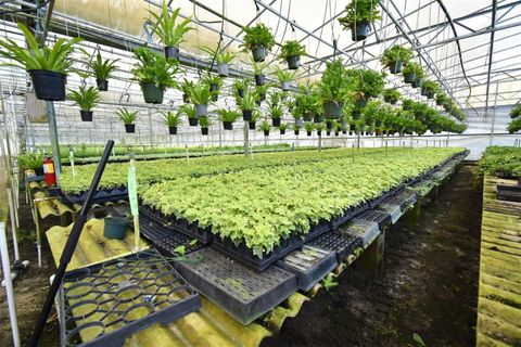 Tiny photo for 20900 State Road 44, Eustis, FL 32736 (MLS # O6300356)