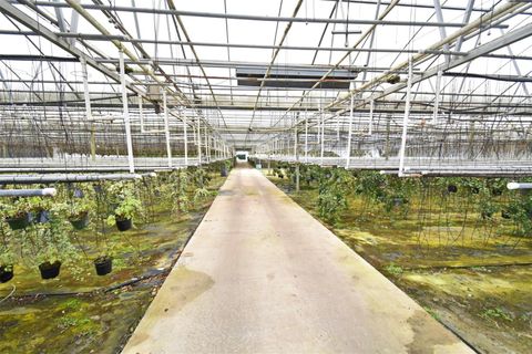 Tiny photo for 20900 State Road 44, Eustis, FL 32736 (MLS # O6300356)