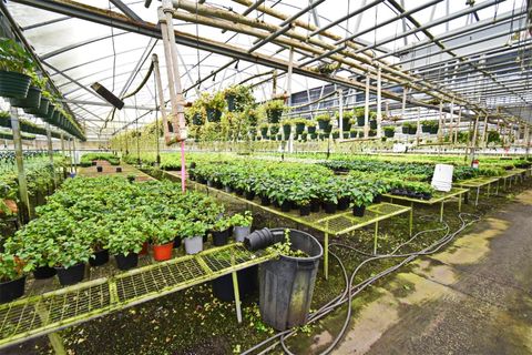 Tiny photo for 20900 State Road 44, Eustis, FL 32736 (MLS # O6300356)