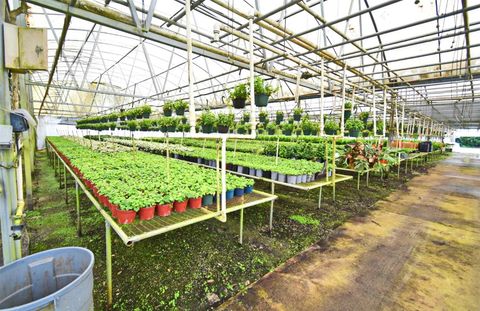 Tiny photo for 20900 State Road 44, Eustis, FL 32736 (MLS # O6300356)