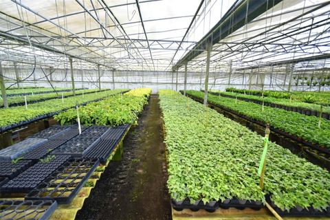 Tiny photo for 20900 State Road 44, Eustis, FL 32736 (MLS # O6300356)