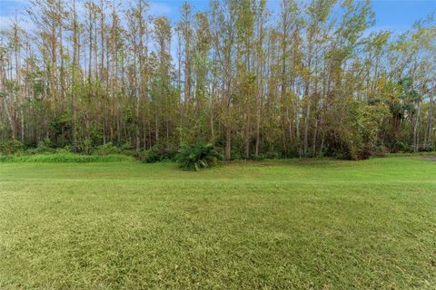 A home in LAND O LAKES