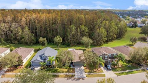 A home in LAND O LAKES