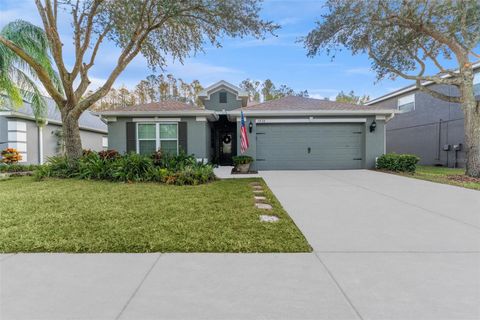 A home in LAND O LAKES