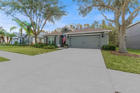 A home in LAND O LAKES