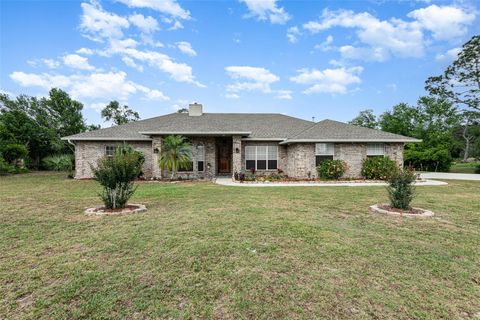 A home in DELTONA