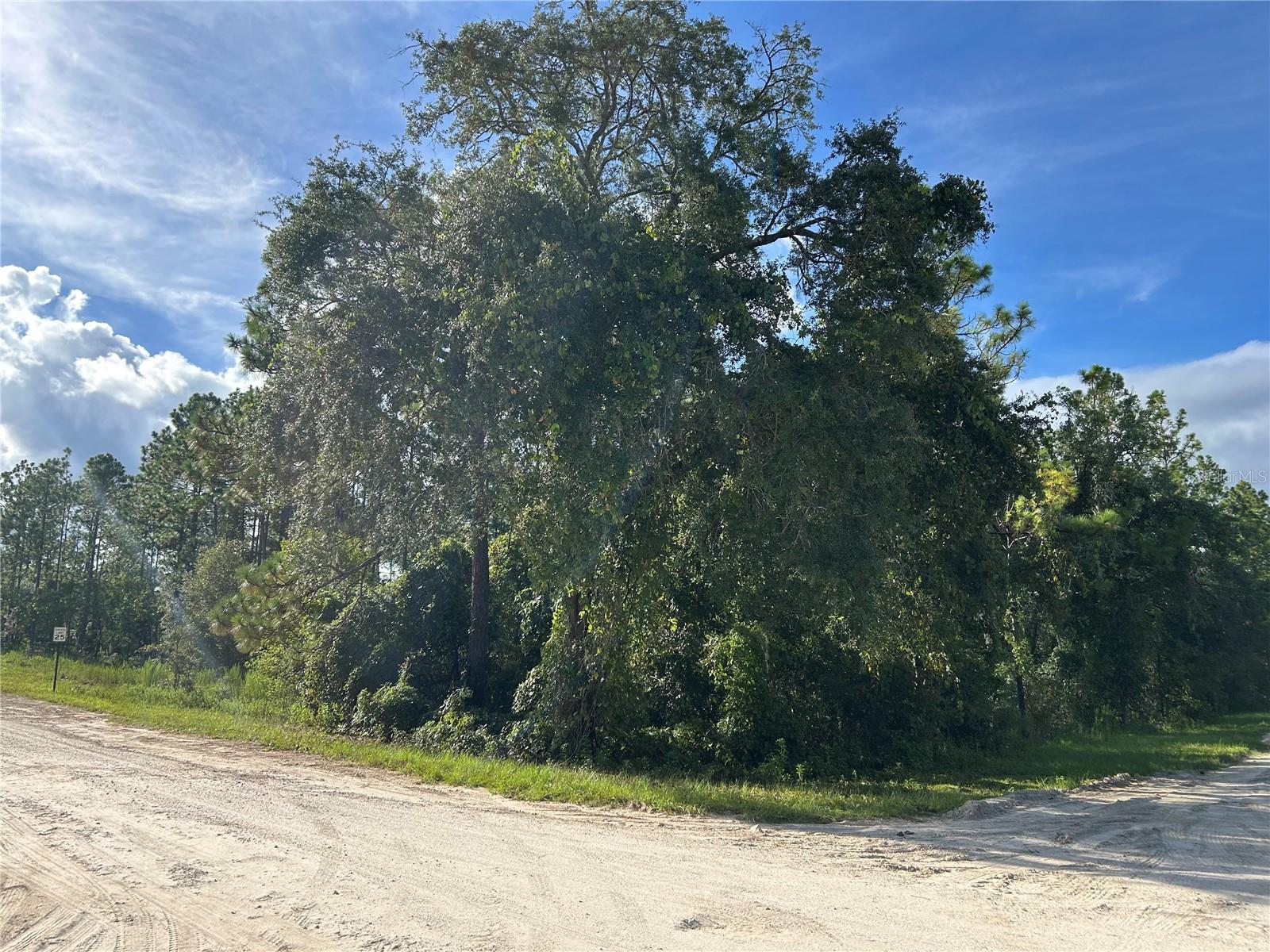 2 CORNER ONE ACRE LOTS. PURE COUNTRY LIVING! Each lot is a separate build-able lot. Okay for site built or manufactured homes. NO HOA!! Great place to build your dream home and have space for a garden and some animals. Easy drive to Ocala and Gainesville. Lots of outdoor activities to do nearby, hunting, fishing, hiking, kayaking, scuba diving, tubing and much more!!
