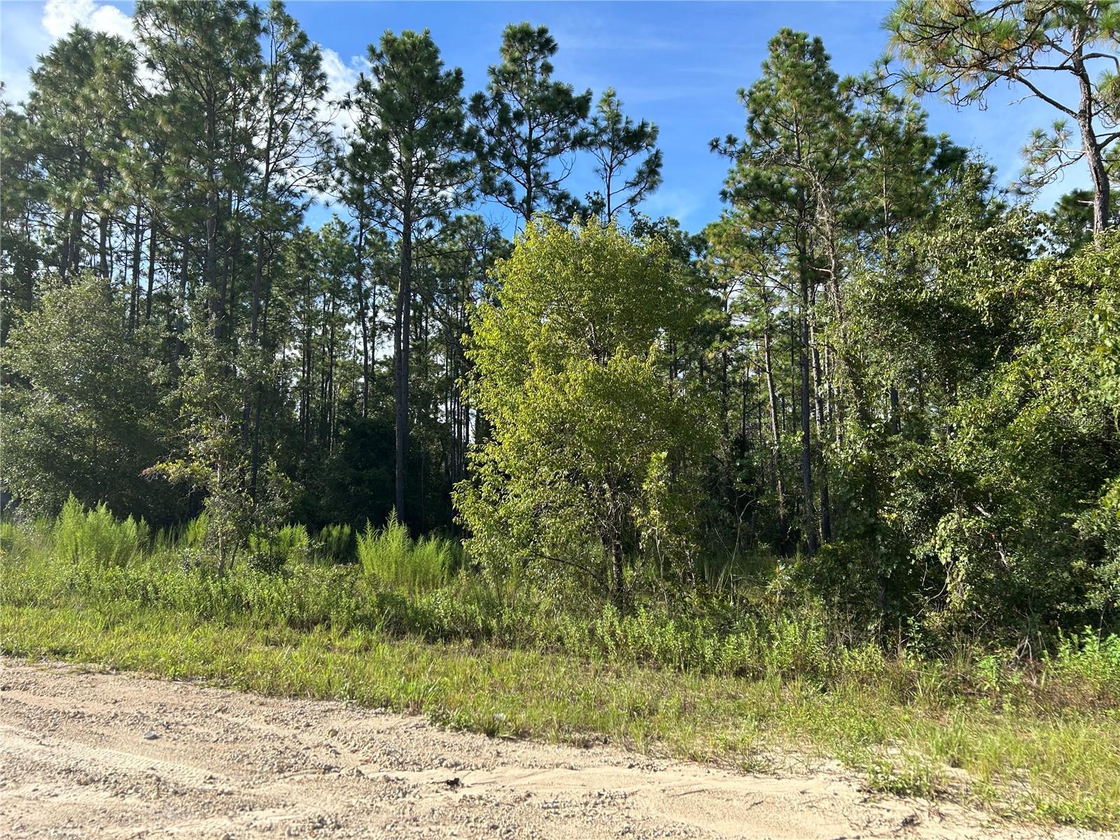 WILLISTON HIGHLANDS UNIT 12 - Land