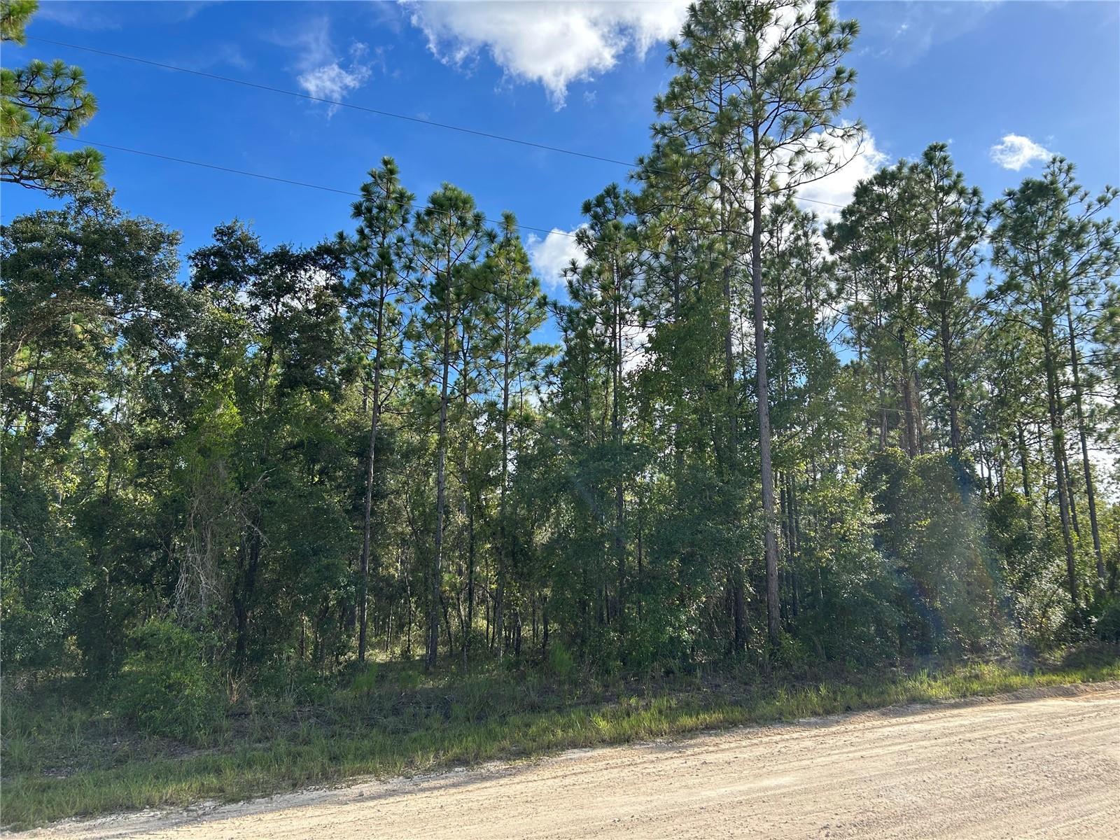 WILLISTON HIGHLANDS UNIT 12 - Land