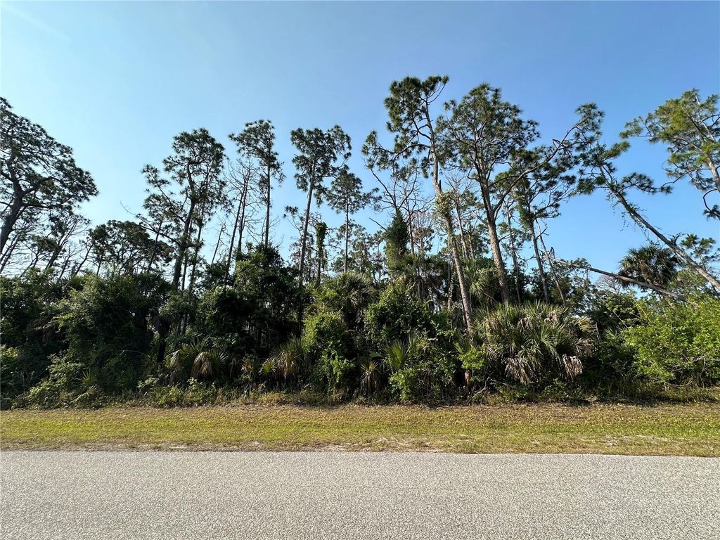 Photo of 18038 York Avenue, Port Charlotte, FL 33948 (MLS # A4686538)