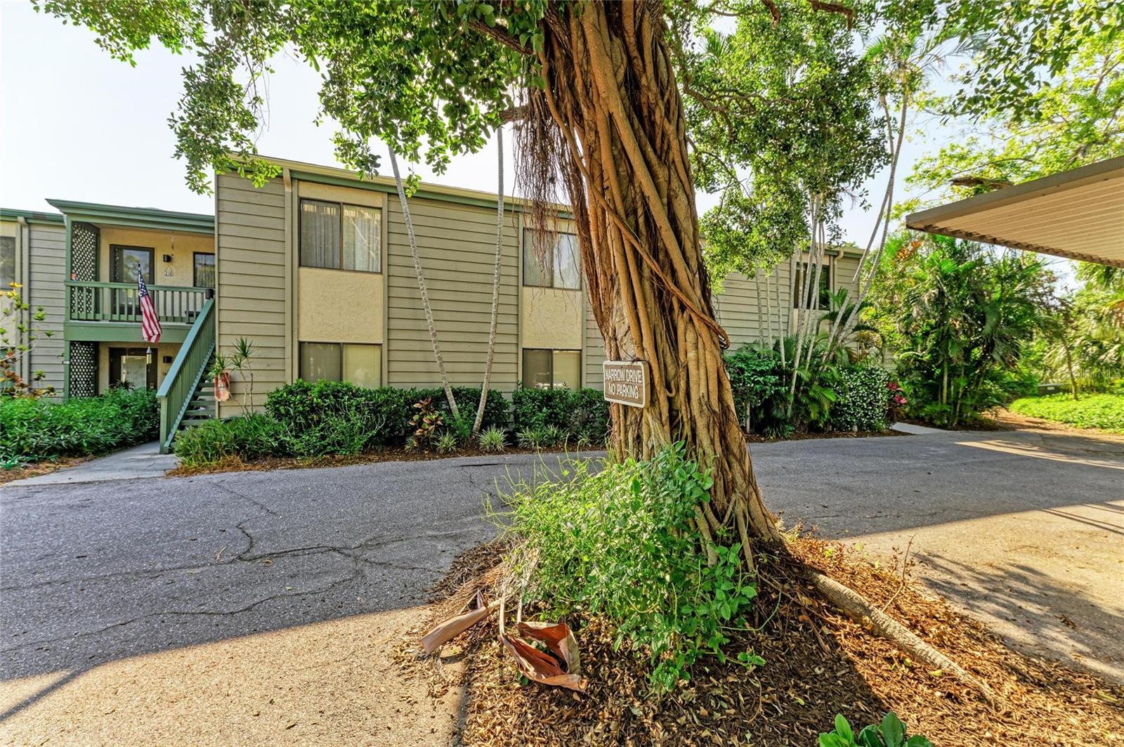 PELICAN COVE - Residential