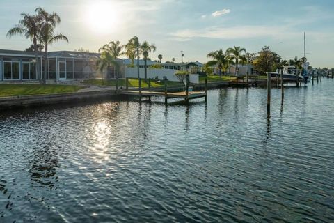 A home in APOLLO BEACH