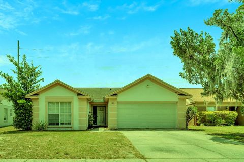 Single Family Residence in VALRICO FL 4615 CABBAGE PALM DRIVE.jpg