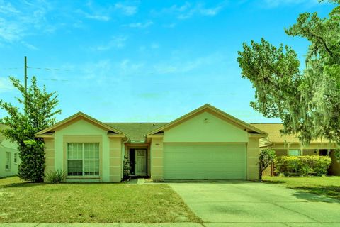 A home in VALRICO