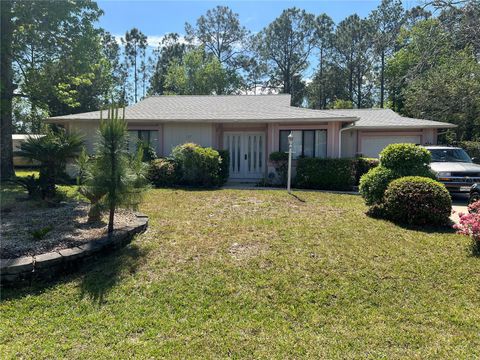 A home in PALM COAST