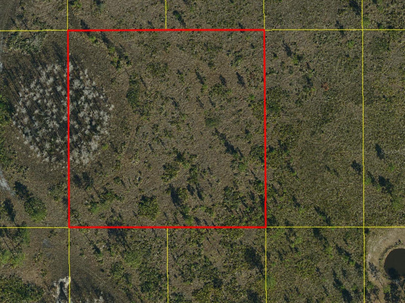 HOLOPAW GROVES ROAD