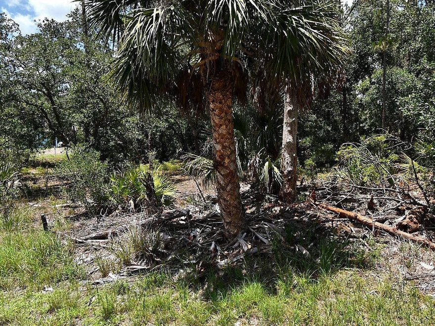 Excellent opportunity to acquire a residential lot in a quiet and desirable area of North Port, Florida. Ideal for building your dream home or as an investment property, this lot offers a peaceful setting while remaining close to everyday conveniences.
North Port is one of the fastest-growing cities in Sarasota County, known for its natural beauty, parks, golf courses, and access to attractions such as Warm Mineral Springs and the Myakka River. Residents enjoy proximity to shopping, dining, healthcare facilities, and schools, along with convenient access to major roadways connecting to Sarasota, Fort Myers, and Tampa.
Outdoor enthusiasts will appreciate the easy access to nearby beaches, nature preserves, and recreational areas, making this location perfect for those seeking a balance between tranquility and an active Florida lifestyle.
With unbeatable advantages: no HOA, no CDD, no Scrub Jay zone (per the Sarasota County Property Appraiser website as of 05/05/26, please reconfirm during due diligence), and an environmental study already completed (available upon request).
A great opportunity for builders, investors, or end-users looking to secure a property in a rapidly growing and highly desirable market.