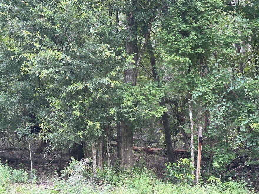 Embrace North Florida river life at Three Rivers Estates! Seller financing available with substantial down payment. This nearly 1-acre, wooded lot is just around the corner from Bridge Park, one of 10 private community parks on the Santa Fe River. Paddle the Ichetucknee or Santa Fe Rivers, immerse yourself in nature, and envision your dream retreat in this serene oasis. A rare opportunity in a tight-knit, river-loving community. Don’t let it slip away!