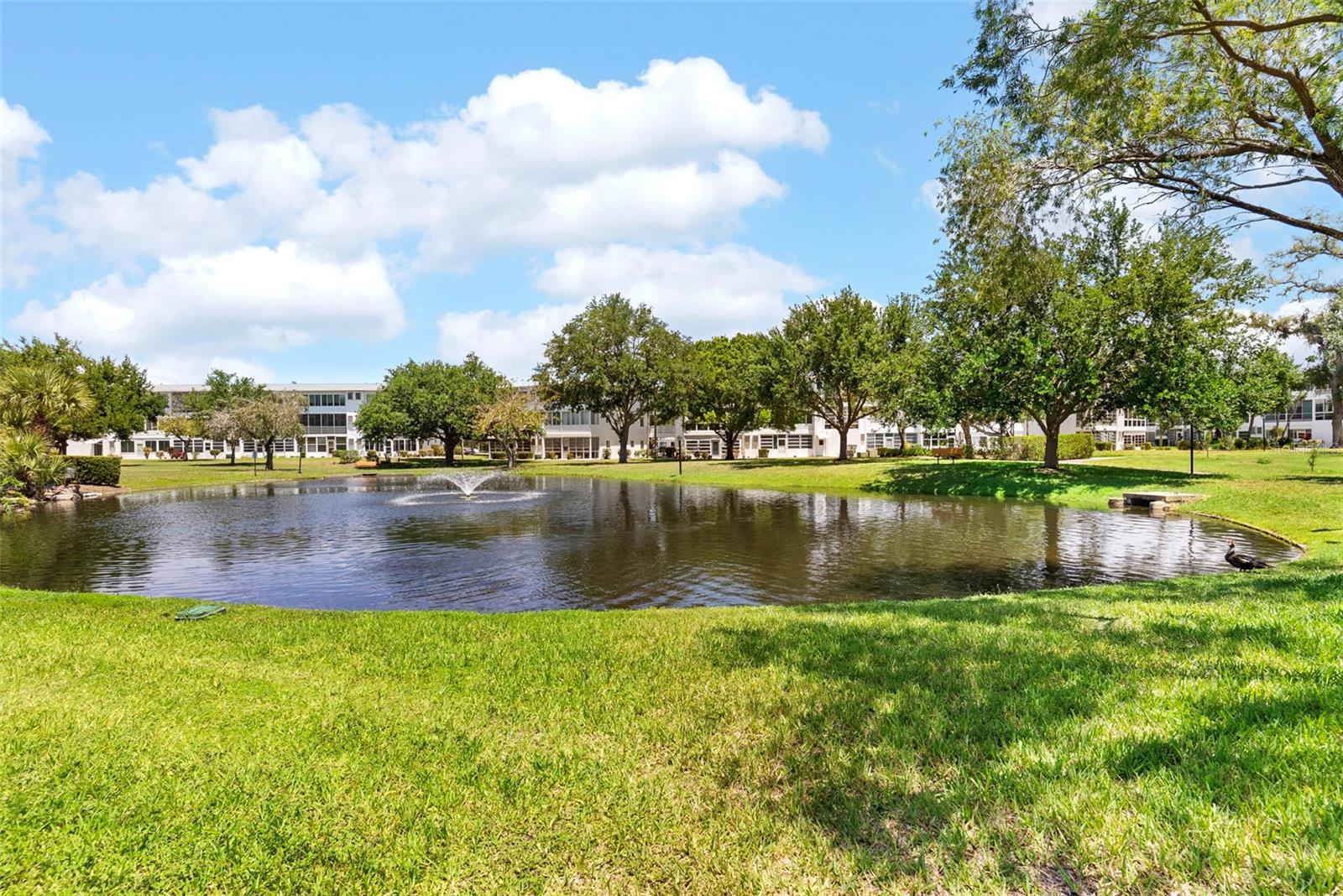 SEMINOLE GARDEN APTS CO-OP - Residential