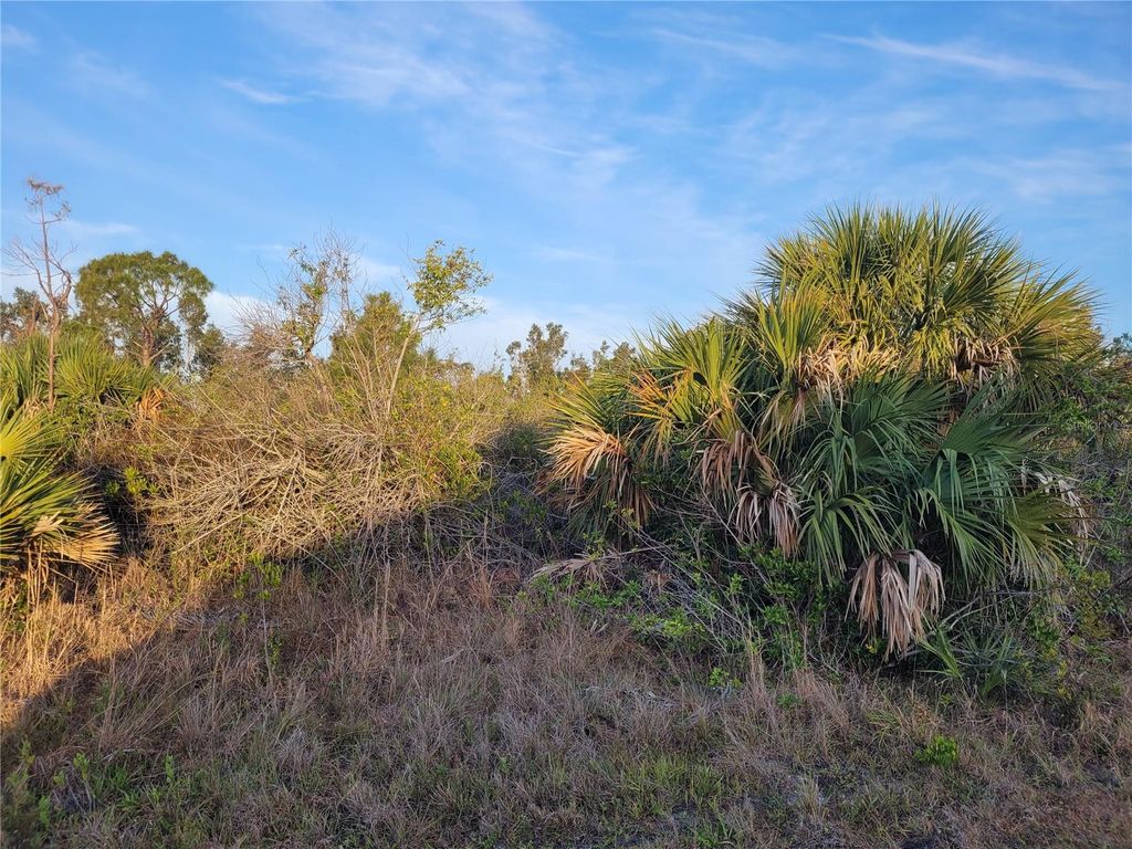 Photo of 9455 St Marys Court, Port Charlotte, FL 33981 (MLS # D6142171)