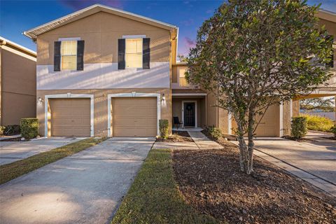 A home in LAND O LAKES