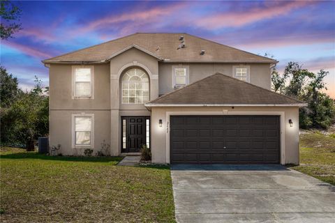 A home in DELTONA