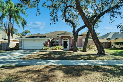 A home in RIVERVIEW