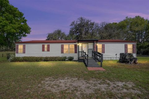 Photo of 5600 SE 39th Street, Trenton, FL 32693 (MLS # O6392741)