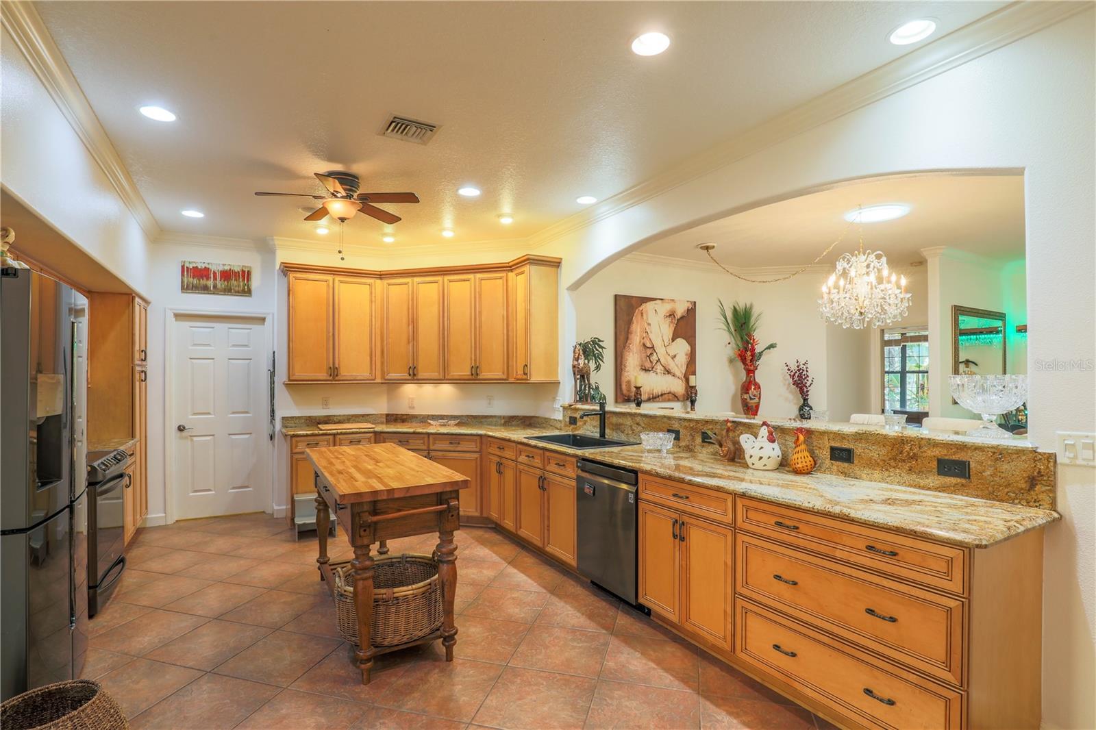 LAKES OF MOUNT DORA - Residential