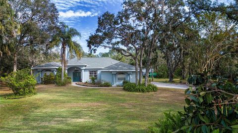 A home in WIMAUMA