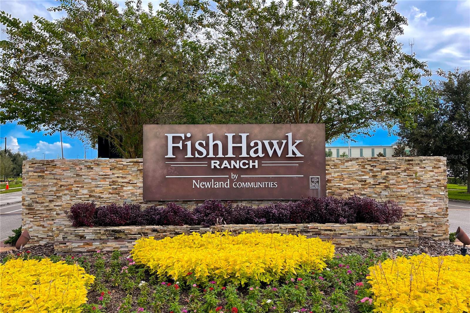 FISHHAWK RANCH TOWNCENTER PHAS - Residential