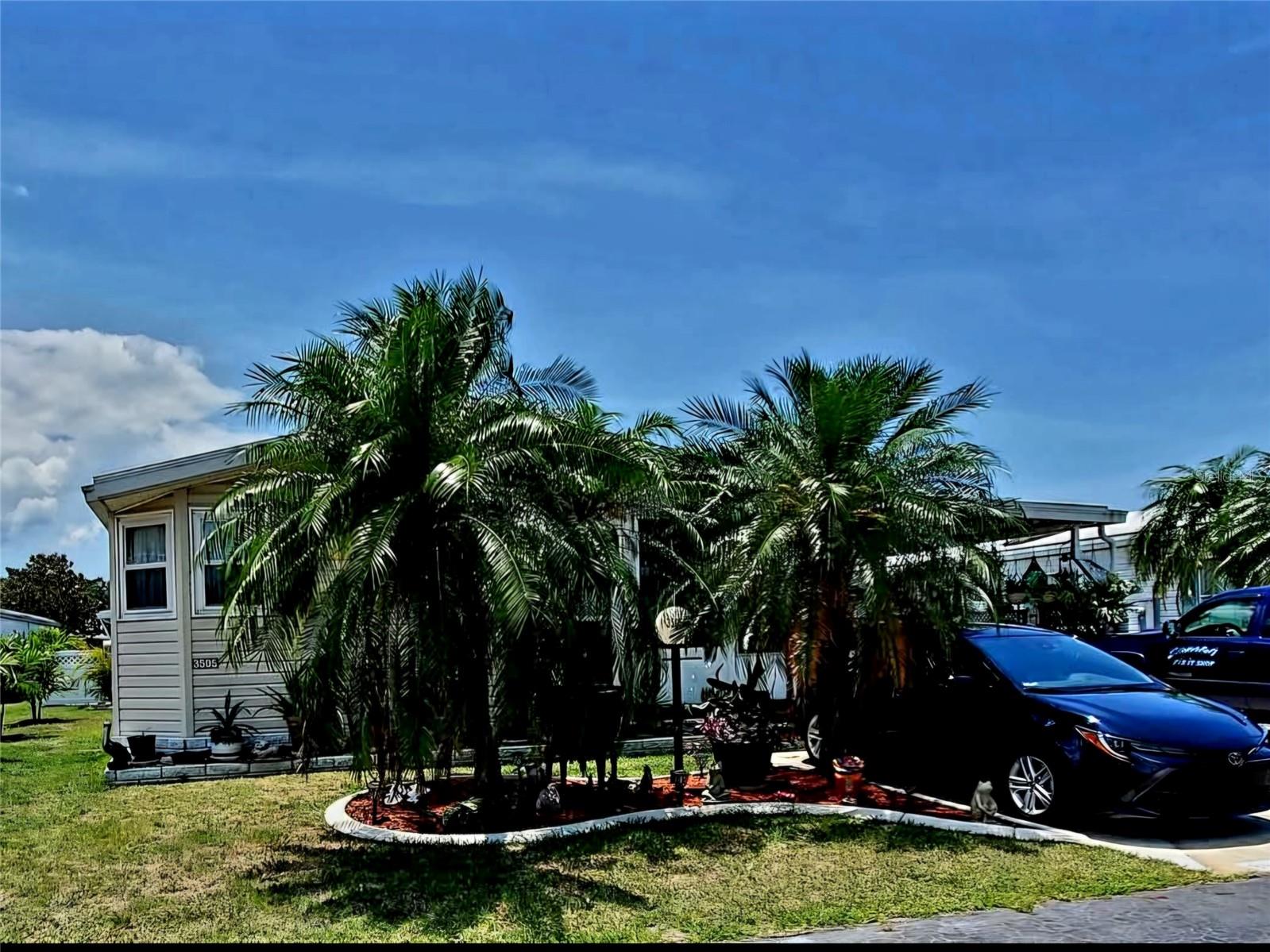 3505 PATRICIA PLACE